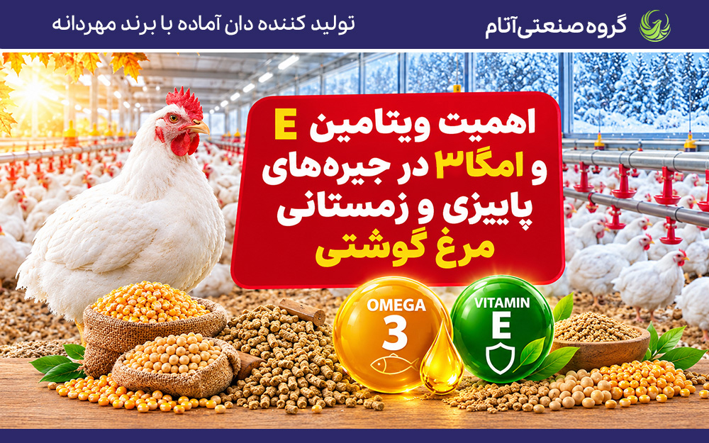 امگا ۳ و ویتامین E در جیره مرغ گوشتی در فصل سرد